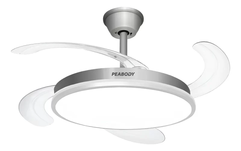 Peabody silver 1