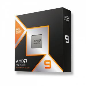 CPU AMD RYZEN 9 9900X3D