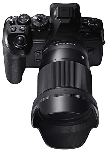 Version 1.0.0 sigma 56 f1 4 dc dn contemporary nikon z e9483343d5