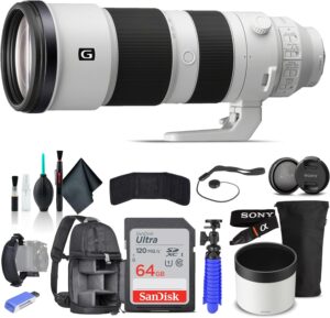 SONY FE 200-600 f5.6.6.3 G OSS